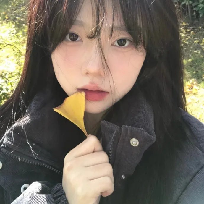 圣诞兔子
